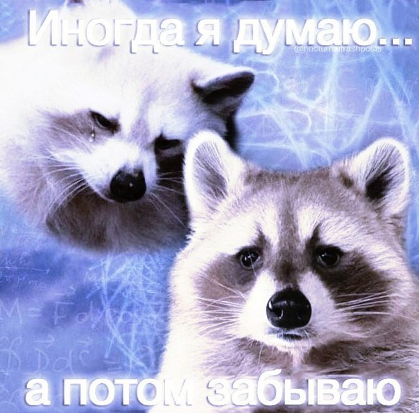 RussianMemesLtd's tweet photo. Sometimes I think...

but then I forget https://t.co/253AnlUOoQ