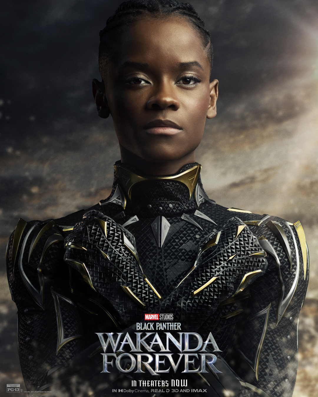 Black Panther: Wakanda Forever (@theblackpanther) / X