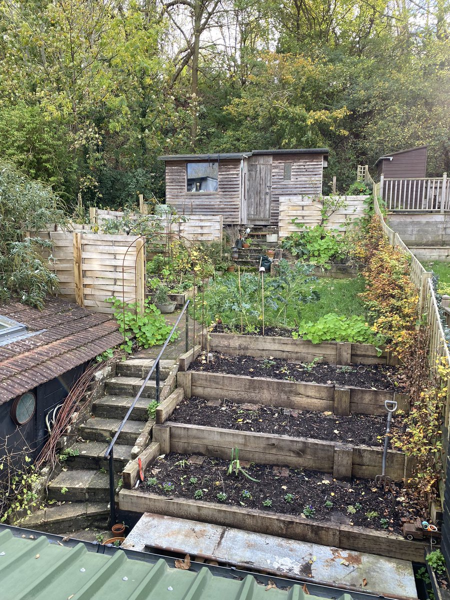 Flo Scott tweet media