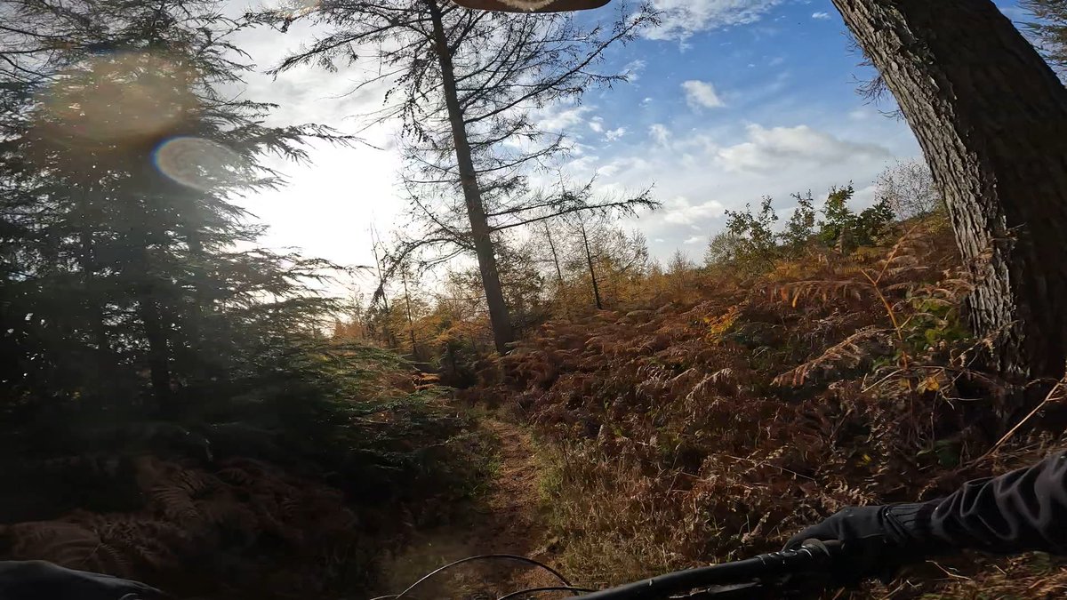 swearybiker's tweet photo. Absolutely spot in weather for riding today #absolutemtb #totalmtb #goatmtb #UKmtbchat #localtrails #ludlow #mountainbike #mtb #mtblife #sundayride #stumpjumper https://t.co/pbbXmPWOXa