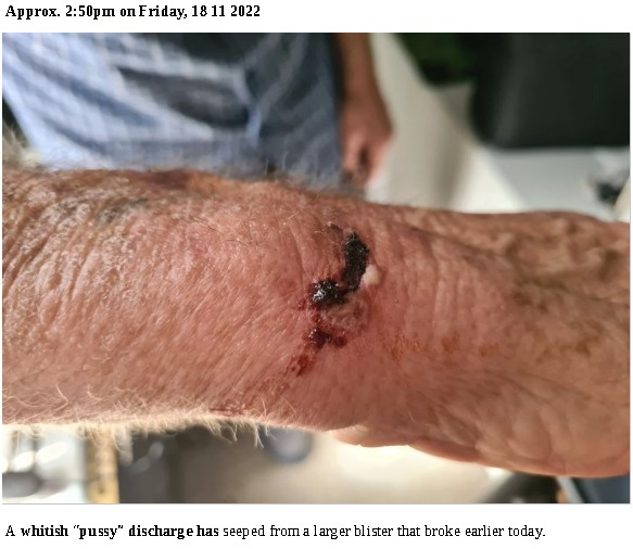 Interconnector's tweet image. Hon. Minister @MarkRyanQLD. QPS Officers are not a &quot;law&quot; unto themselves.

They cannot &quot;punish&quot; any person, and the law says so.

Only Courts of Record can punish a person (but never with bodily harm), and that will be proven, in time.