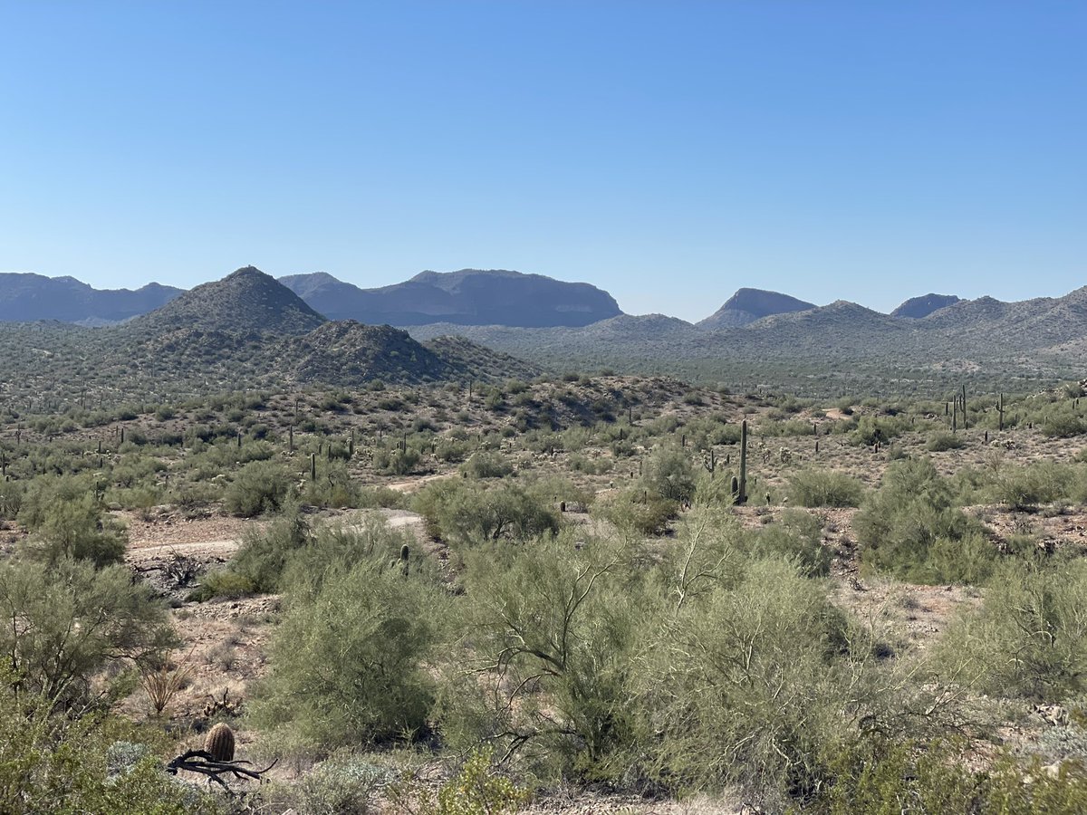 maicadk's tweet photo. Happy Sunday! #azfall #hikingadventures #desertliving https://t.co/UHtwCRKokW