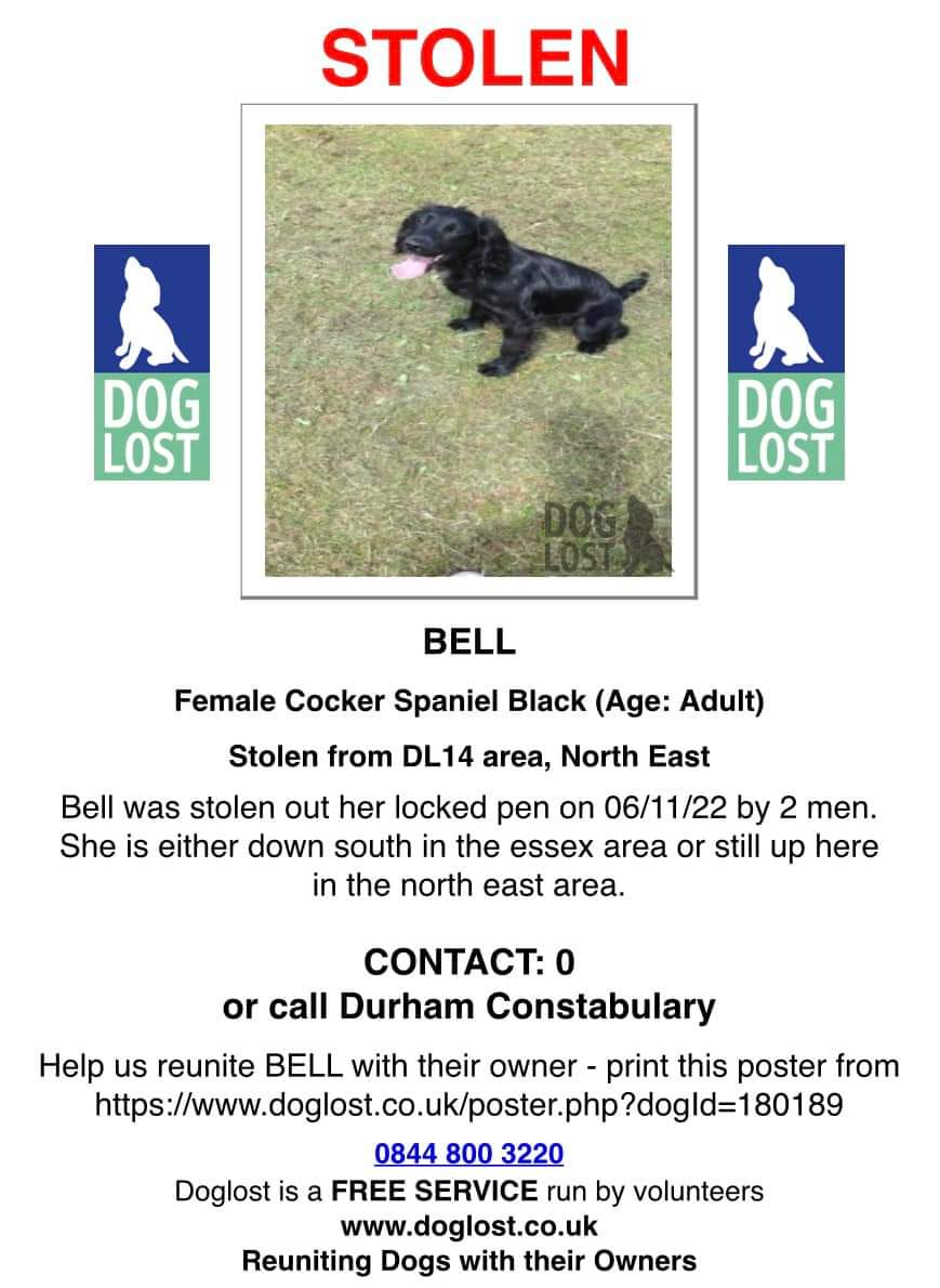 MissingPetsGB tweet picture