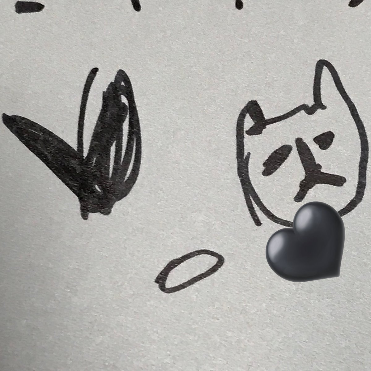 pickup_0301's tweet photo. 하찮은 고양이🐈‍⬛🖤 https://t.co/97eKjSd692