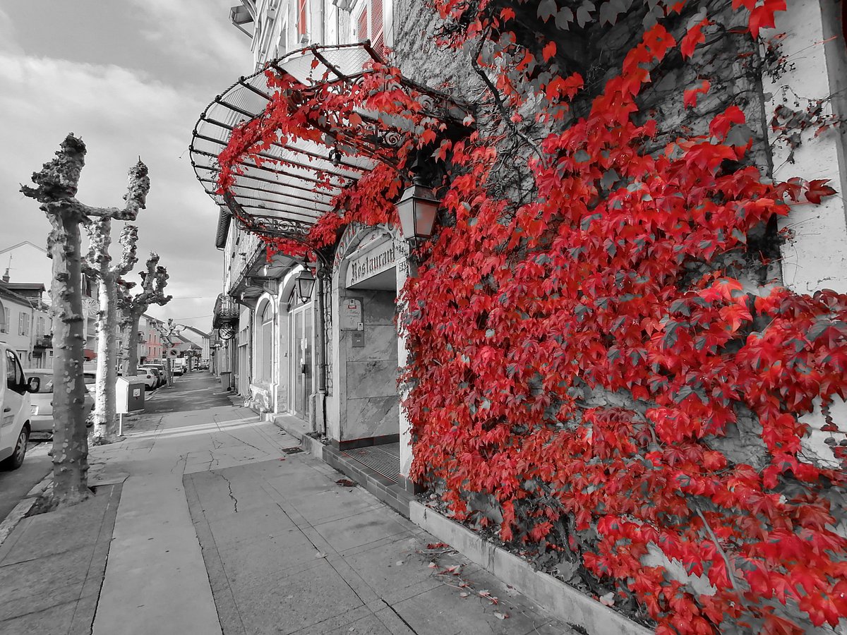 Caline_39's tweet photo. Le Grand Hôtel Ripotot à Champagnole fondé en1875 en noir, blanc et couleurs a pris ses couleurs automnales !!! 
😍❤️👌🏨⚫⚪🔴

https://t.co/tZNSXjClGt
#champagnole #grandhotel #hotelparadise #jura #automne https://t.co/VSF0Gji7i1