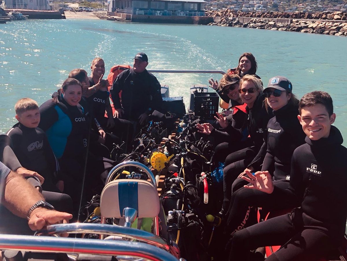 JuStMdive's tweet photo. Sunday boat diving just hits different.
💙
We had so much fun exploring dive sites around Clarence drive outside Gordon’s bay with this amazing group!
🤿
Is there any better way to end off a week⁉️
😉
@gordonsbaytourism
@krystalbeachhotel
#sundayfunday #fundives #scuba https://t.co/tjYaGrmZXO