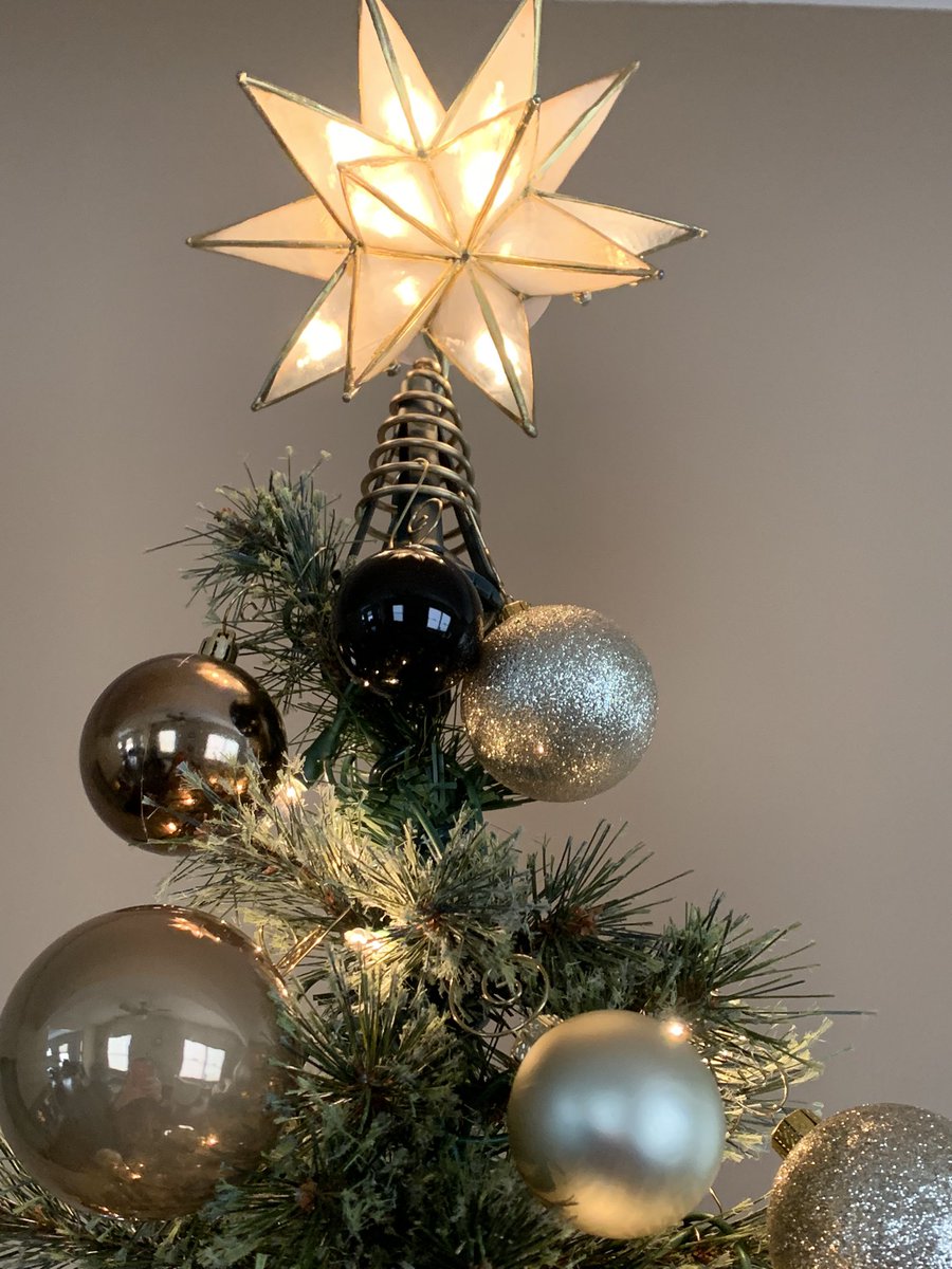 Thislilbirdies1's tweet photo. I got my pencil thin tree up early this year.  It’s skinny like me😹. Does not hog up space and yet it’s just as tall as a ordinary tree. Small box for lack of storage here. So I’m loving it! #ChristmasTree #penciltree https://t.co/RoRTPvYe38