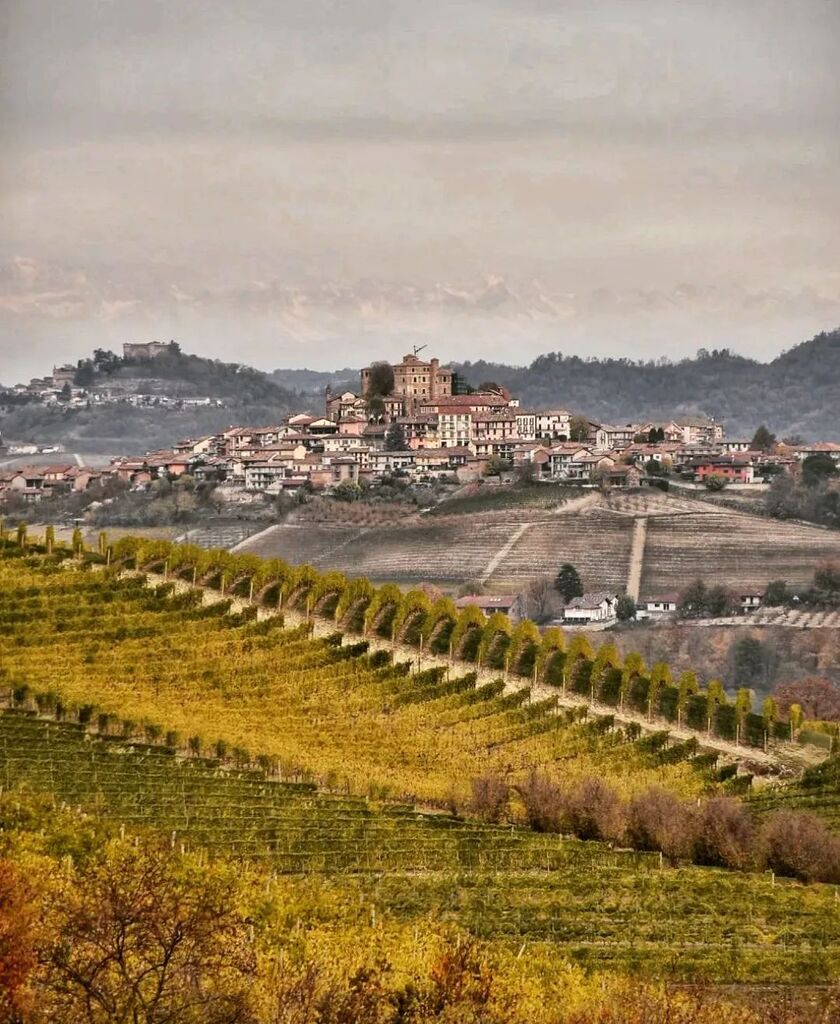 ig_piemonte's tweet photo. presenta

🍂 #Roddi
AUTORE: @currelistefania
LOCAL MANAGER @ch.agall
ADMIN @berenguez
TAG #ig_langheroeromonferrato #langhe #roero #monferrato

MAIL piemonte@igworldclub.it
SOCIAL
• https://t.co/e3pQ6zusM8
• Twitter @ig_piemonte

HUB @igworldclub
COUNTRY @ig_italia
TEA… https://t.co/YGPza1TlJQ