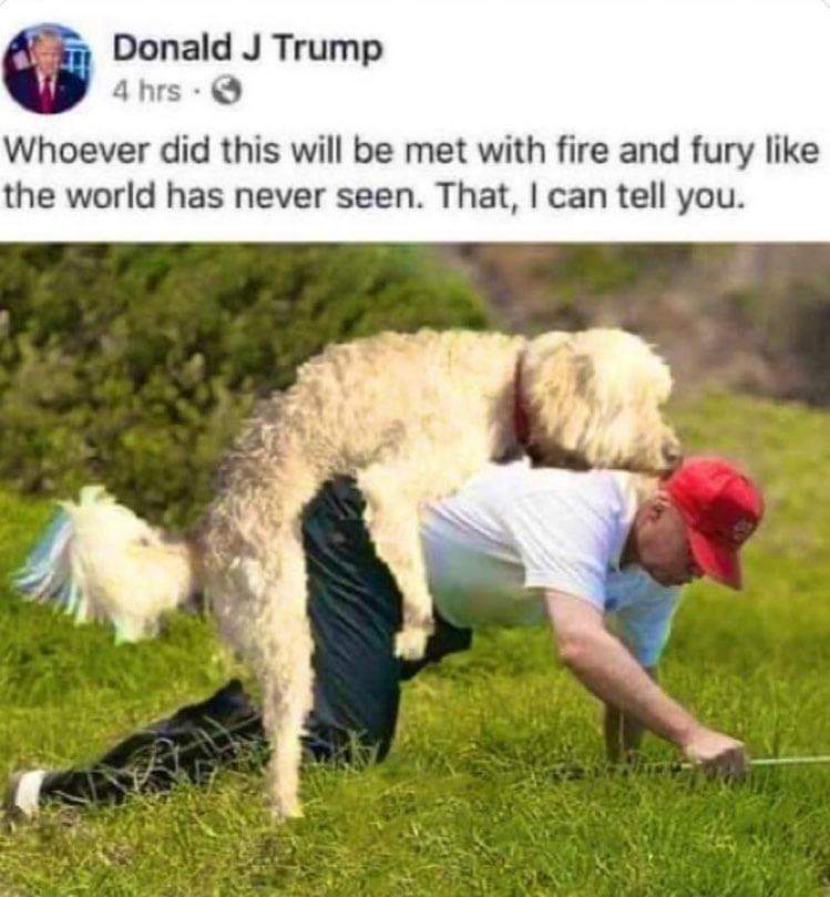 #LOCK UP Führer tRump! (@pfoltzed) on Twitter photo 