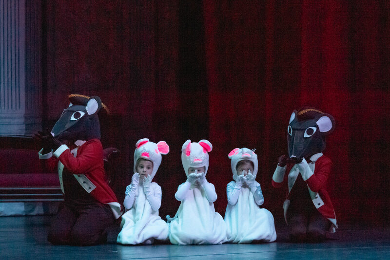 Today's baby mice could be the Sugar Plum Fairies of the future! So many students experienced being a part of The Nutcracker for the first time as a baby mouse!

#huntsvilleballetschool
#huntsvilleballet
#huntsvilleballetnutcracker
#babyballerina