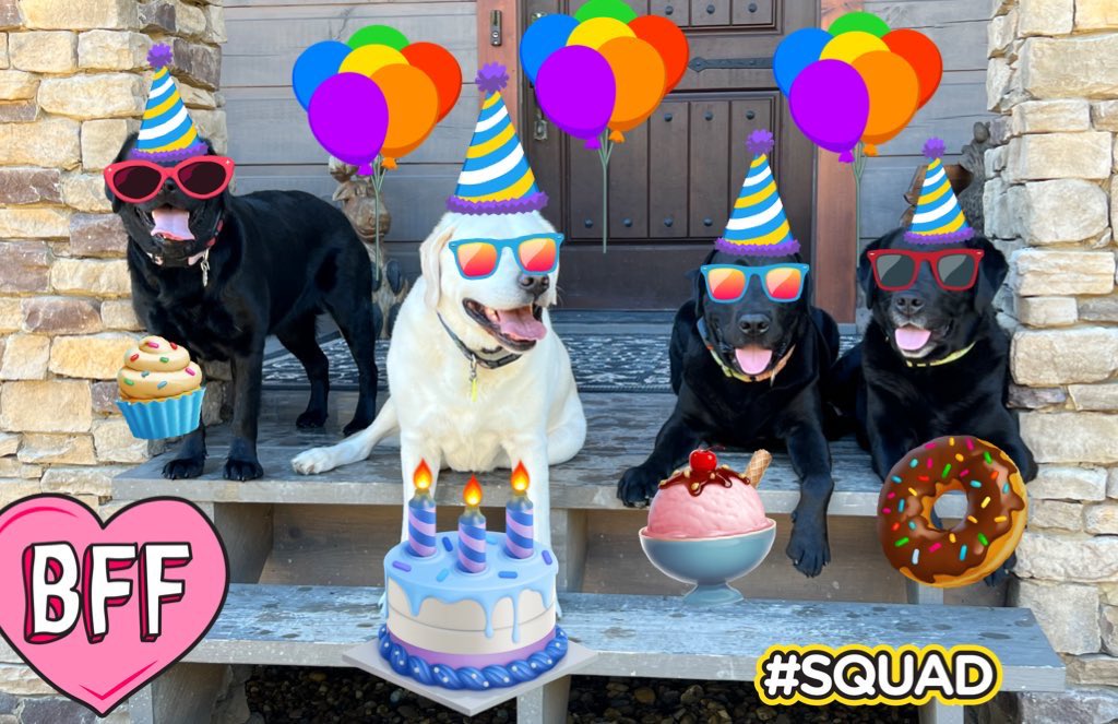 kallen4775's tweet photo. @TNflattop @SweetLu64440015 Happy birthday pal. It's PAWTY time #labradork style https://t.co/kur04Fp3jp