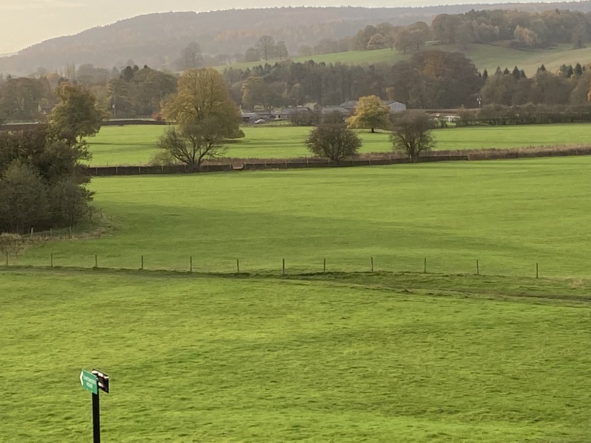 Emily Mulvaney tweet media