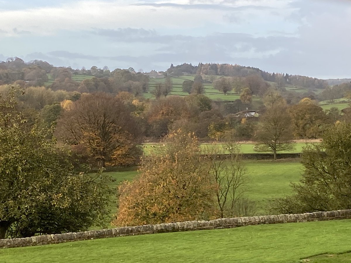 Emily Mulvaney tweet media