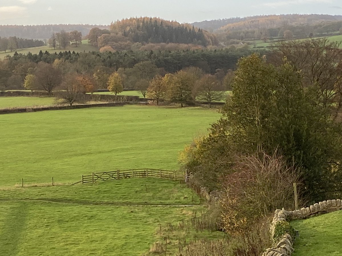 Emily Mulvaney tweet media