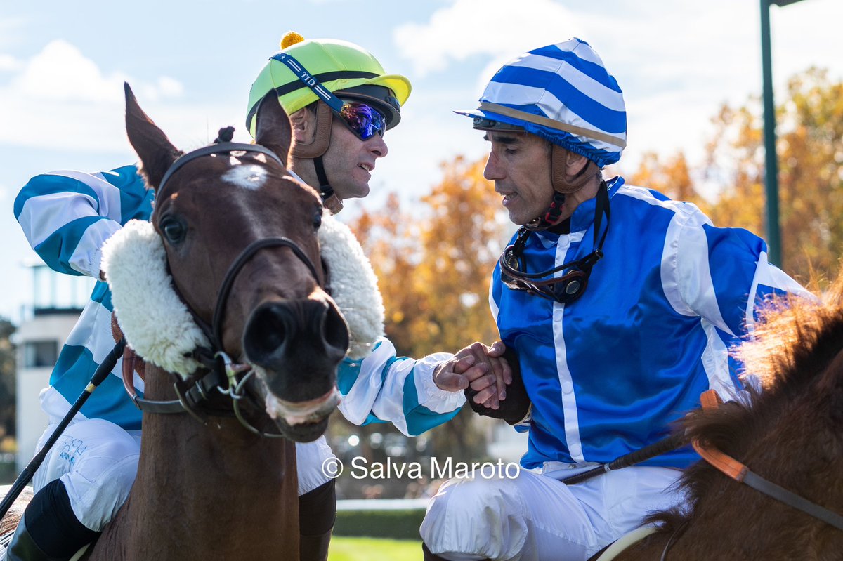 Grandes rivales ⚔️…
Grandes Jockeys 🏇🏻…
y gran respeto. 🤝

#MagicMartinez
#BorjaFayos

<a href="/HipodromoMadrid/">Hipódromo de La Zarzuela</a>