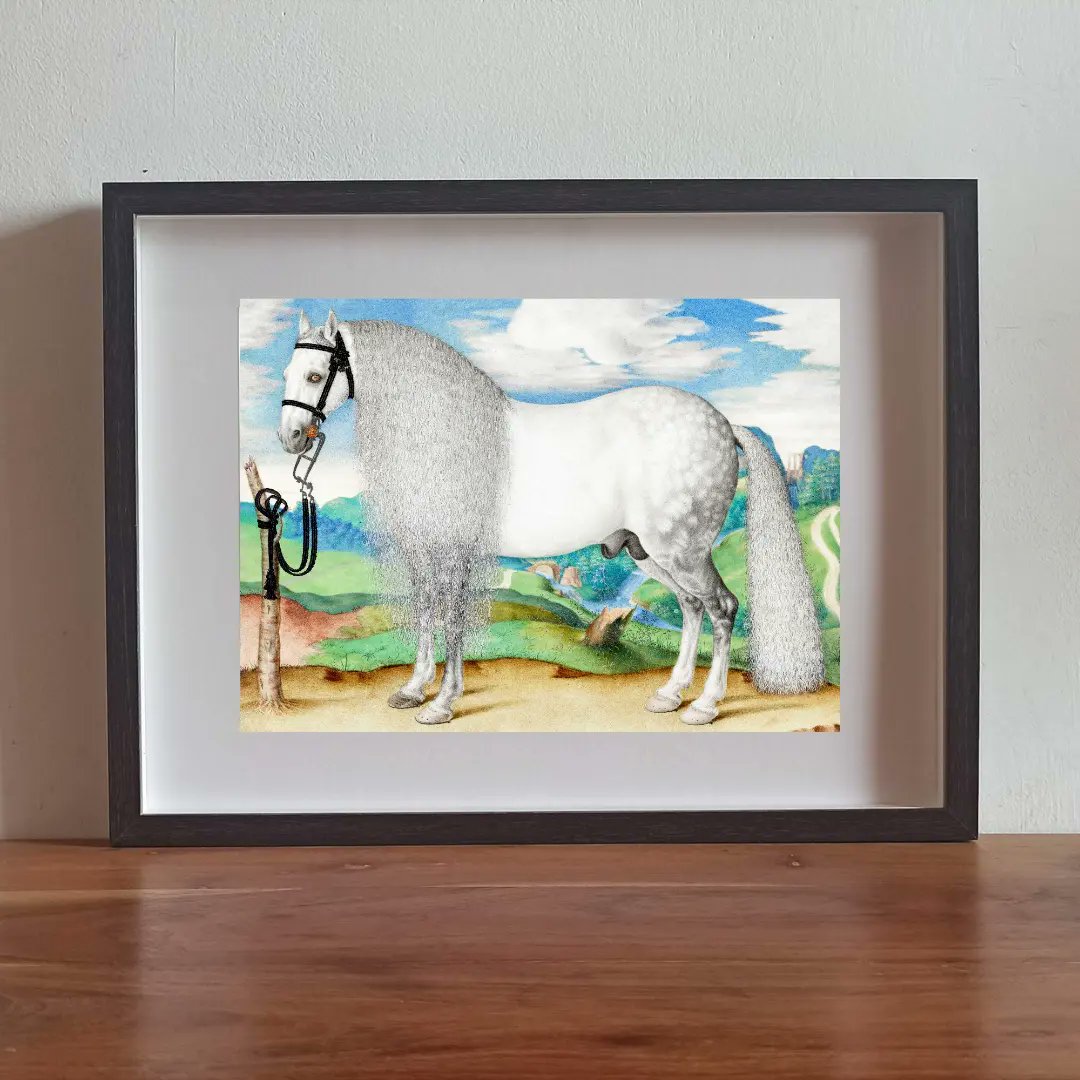 lucywalldecor's tweet photo. White horse. (1584)
High definition printing in one click.
https://t.co/62OsCzcJ5B 
#horse #horseillustration #walldecor #homeprint #illustration_best https://t.co/TO9OyuWGSj