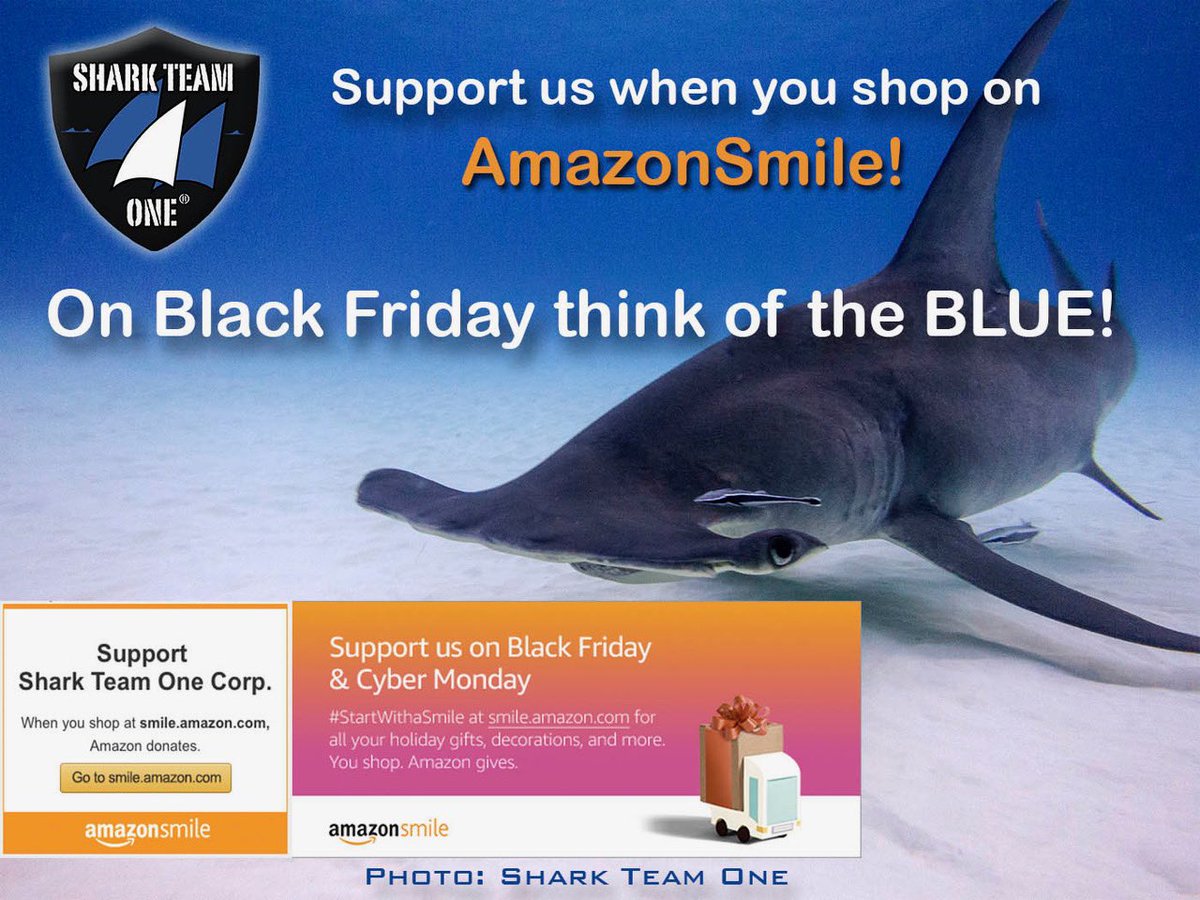 Holiday season is coming! Support us when you shop on AmazonSmile! 😀 Just sign in with your usual Amazon information to use AmazonSmile & they will donate 0.5% of your purchase for eligible items! Fins UP & thanks for your support this holiday season! 💙 sharkteamone.org/donate.html