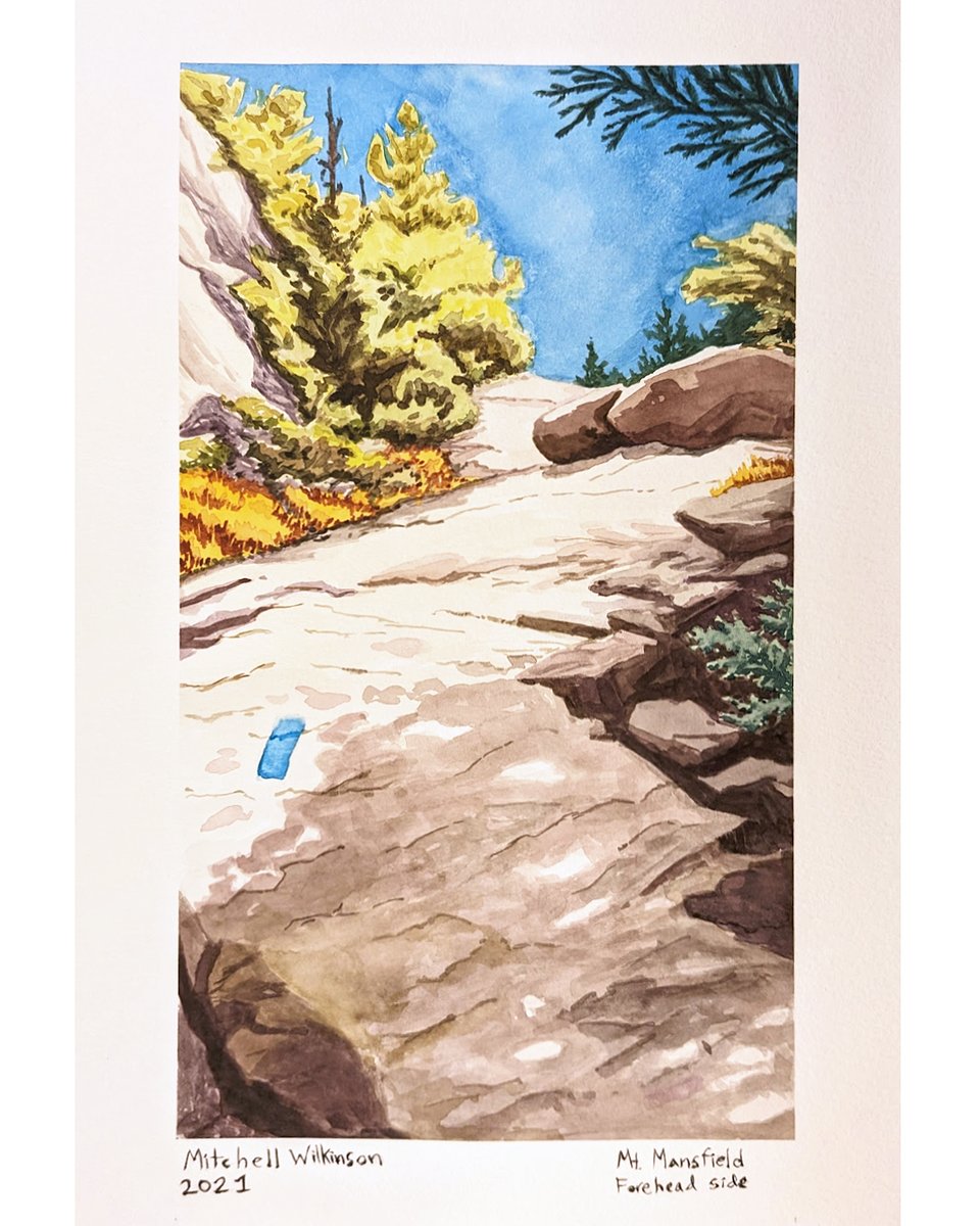 _Witchell's tweet image. From last year- mostly watercolor using gouache. A scene on Mt Mansfield