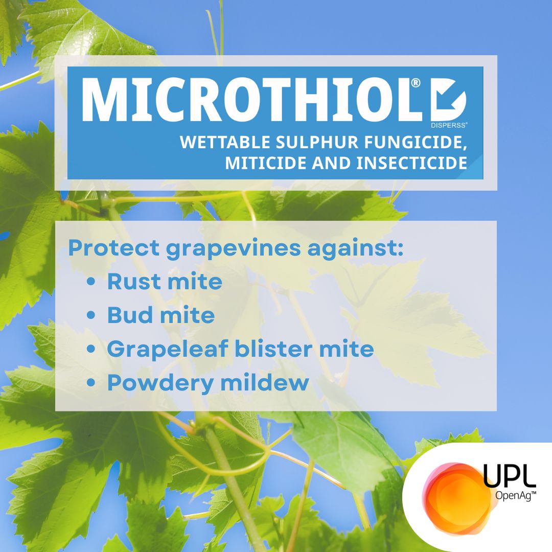 UPLAUSLtd's tweet photo. 🍇 Grape growers, protect your #grapevines from #mites and #powderymildew with #Microthiol® Desperss #fungicide, #miticide & #insecticide from #UPL. Shield vines from rust mite, bud mite, grapeleaf blister mite & powdery mildew.
Learn how https://t.co/SNQ0cferz9
#UPL #OpenAg https://t.co/B6UOmTaYdC
