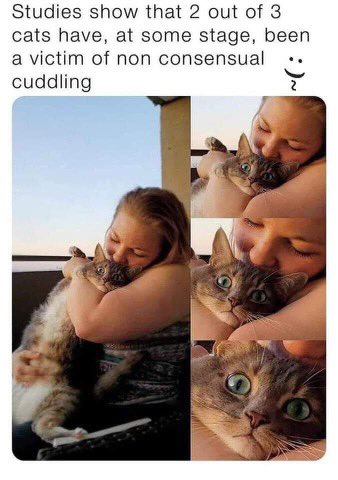 Is non consensual pet cuddling abuse? 🤔