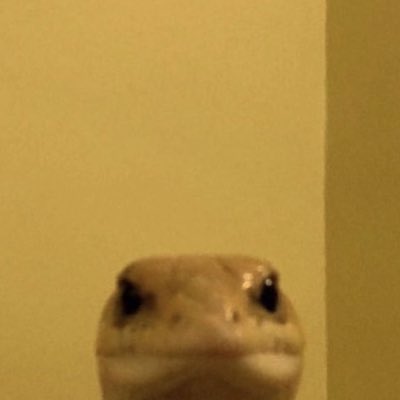 normalguy643's tweet photo. #NewProfilePic https://t.co/cECxDuEHG8