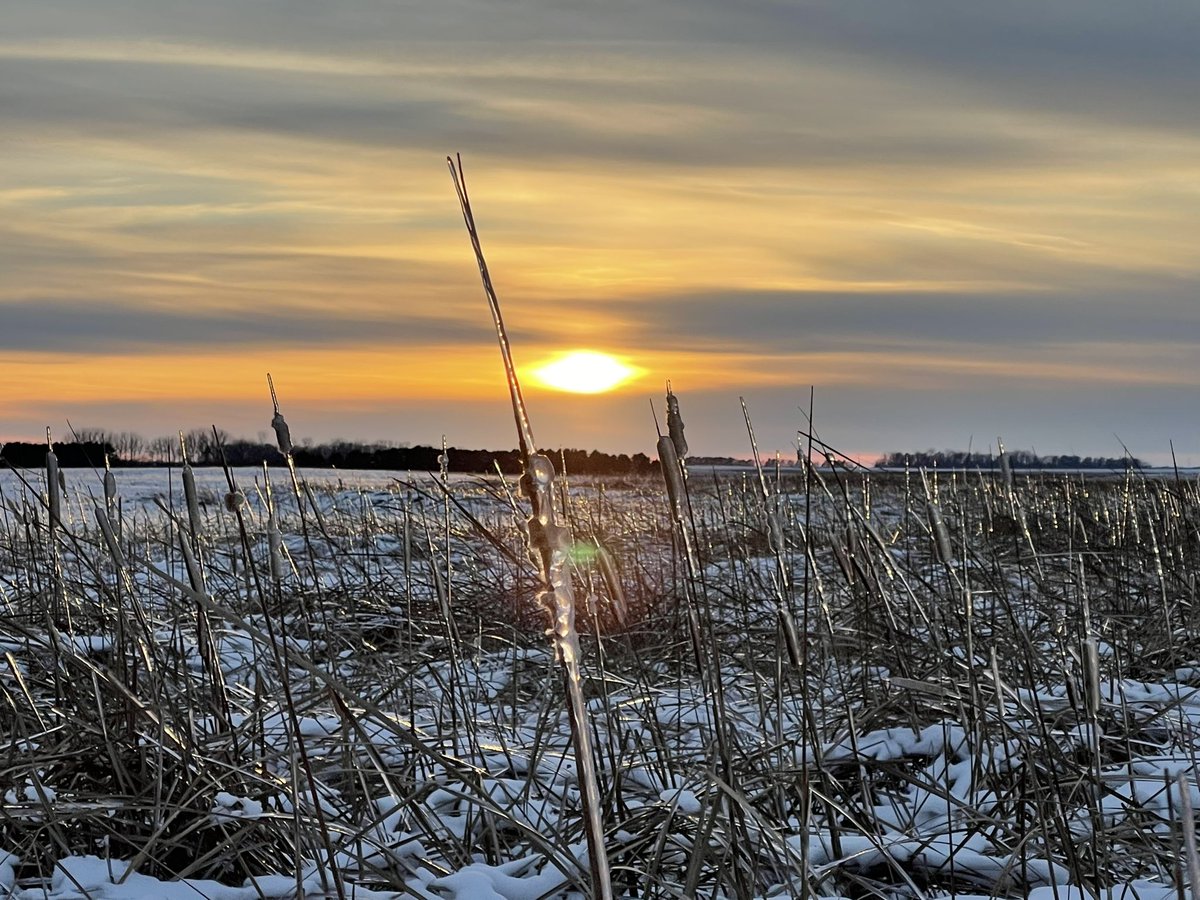 Sunset on the prairie November 20,2022. #RuralByChoice