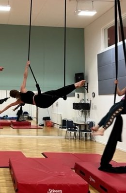 Jacqueline Winfield (@elegant1576) on Twitter photo 