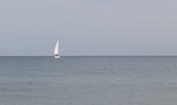 Donald Trump back on twitter. As it is snowing on the east coast, he may soon (with supporting evidence) mock the proponents of global warming. Look, Donald: after this, some will claim that the earth is round!