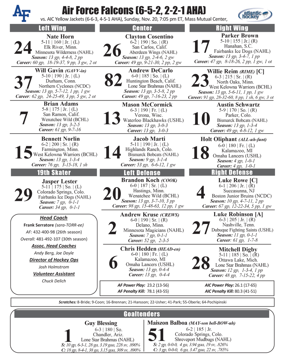 AIC Hockey tweet media
