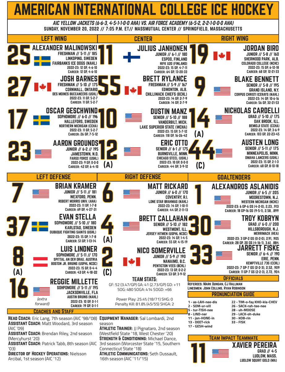 AIC Hockey tweet media