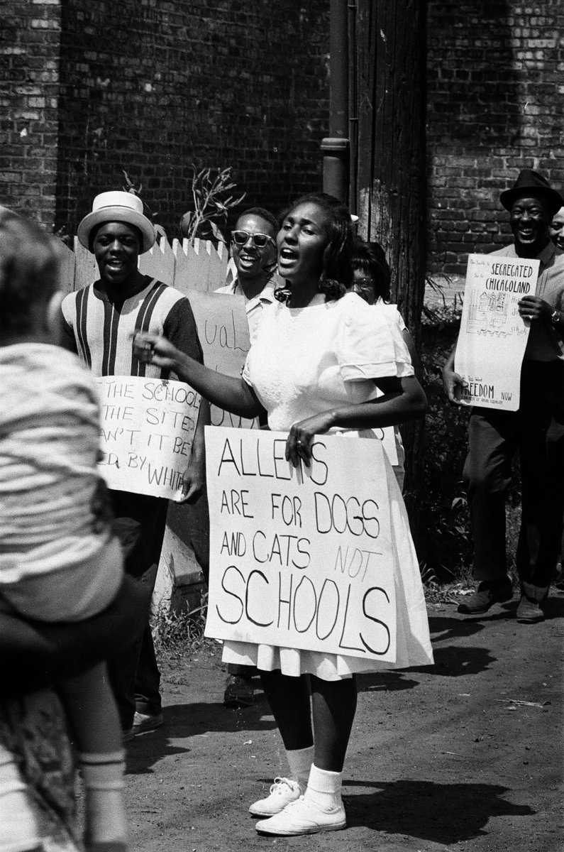 Jeff Nichols🌻 tweet media