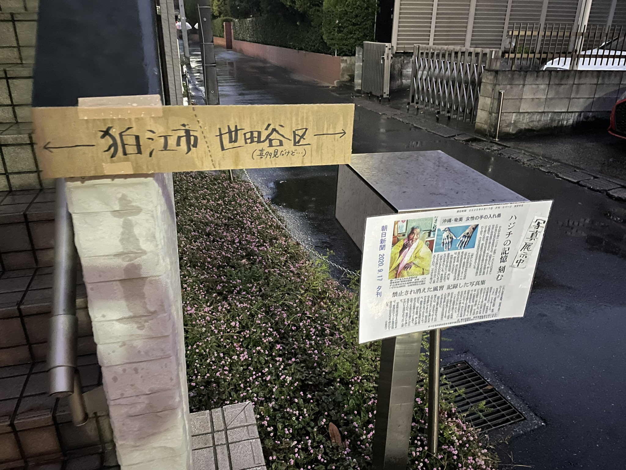 昨日の画像