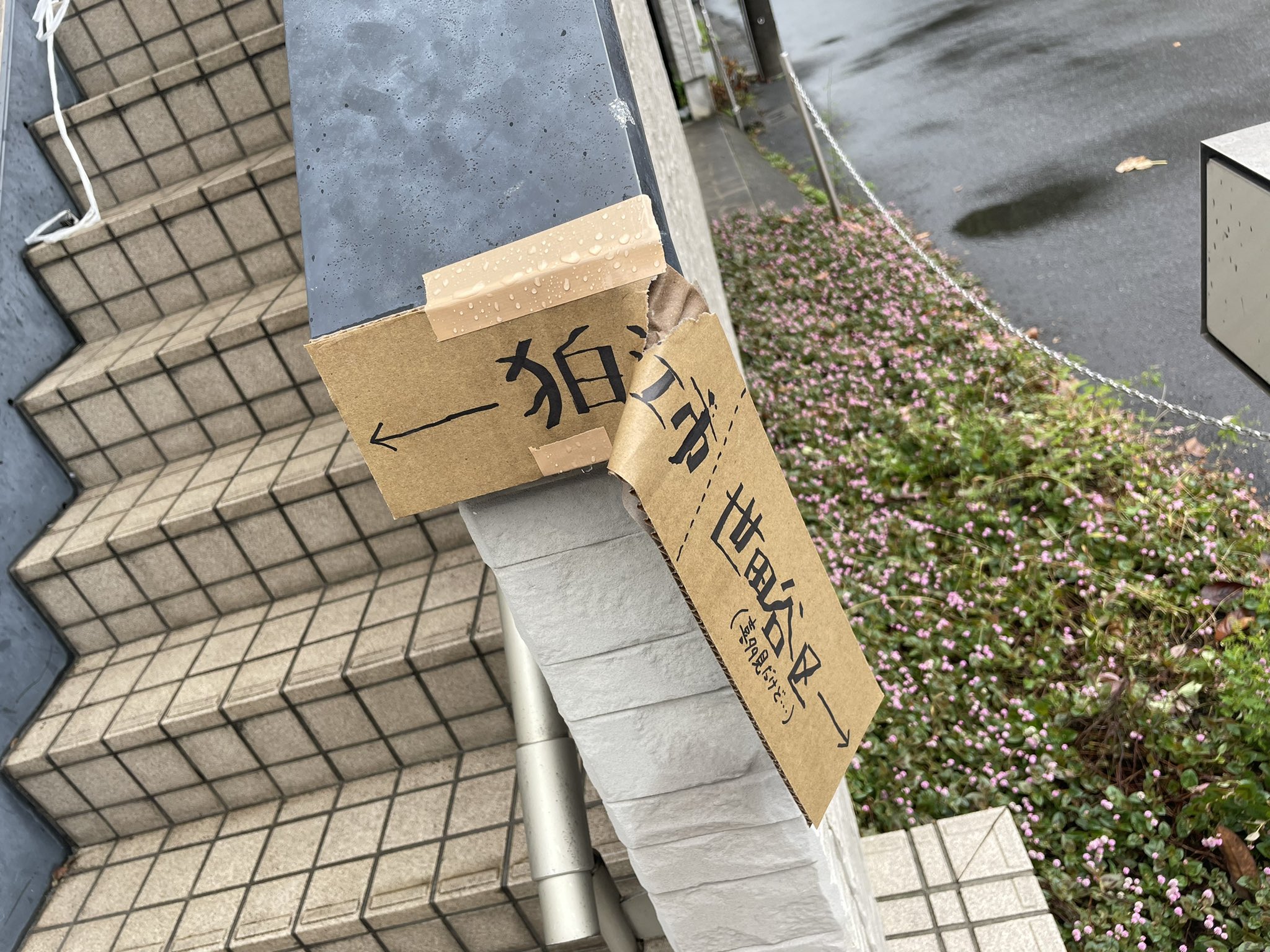 今朝の画像