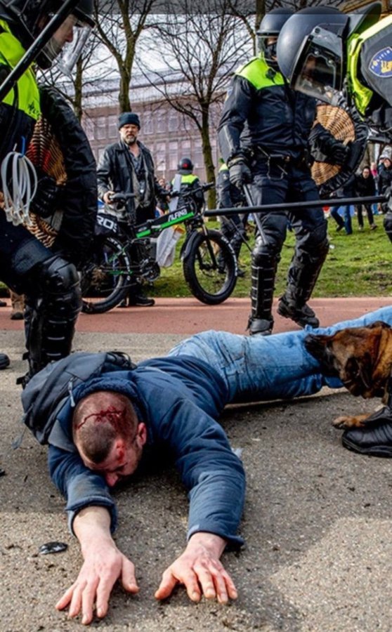 Drs. Buitenhof tweet media