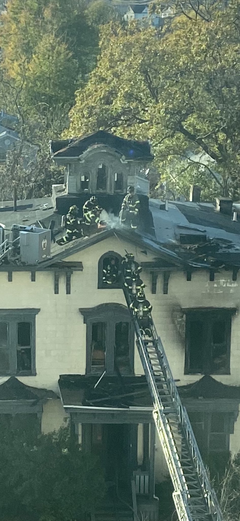 WarriorRN🔥Leo💚🇺🇸💚🇺🇸 on Twitter: "Brave AF🔥🔥🔥 https://t.co/GAANQYE8OC