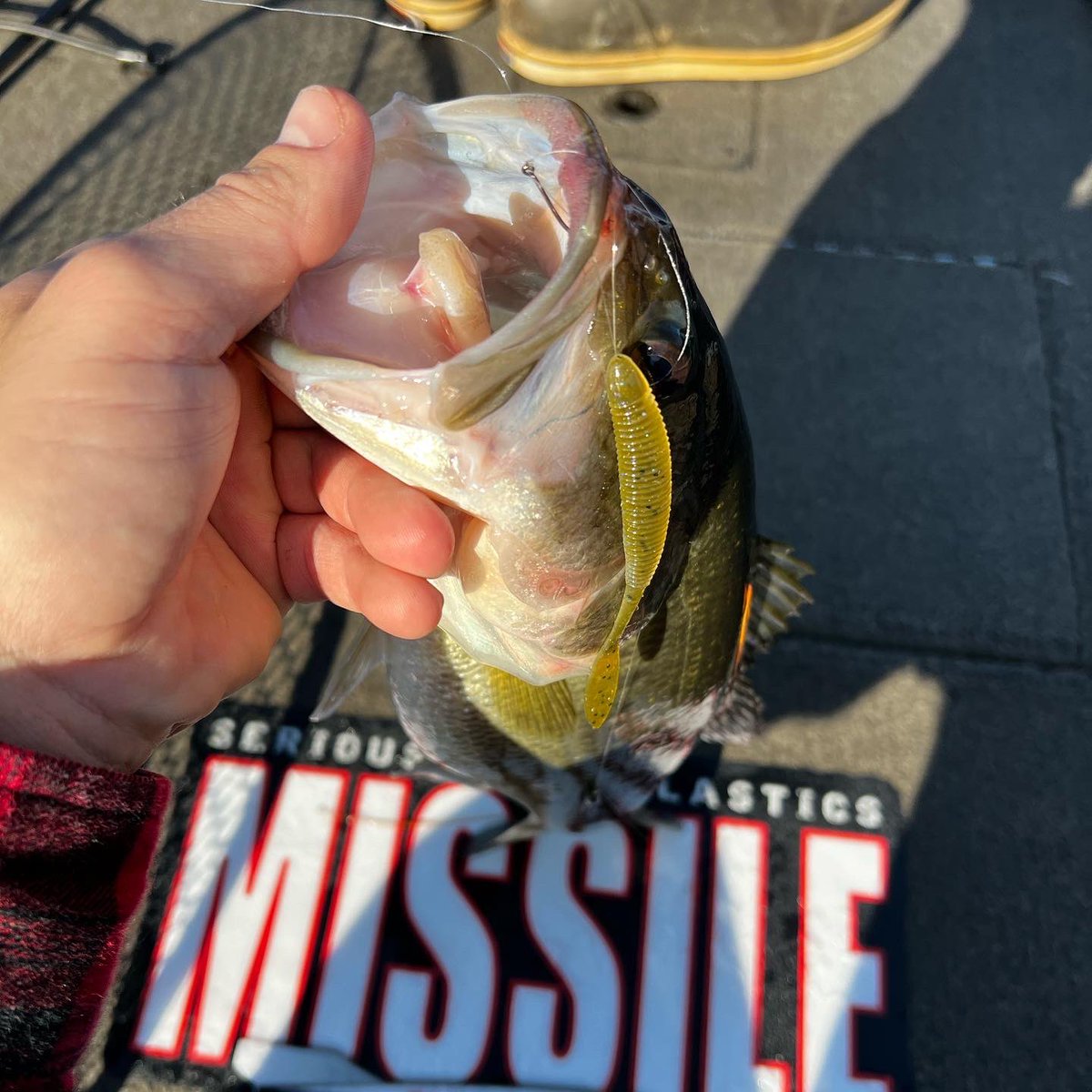 MISSILE_BAITS's tweet photo. The Bomb Shot is a bait that can really produce when the bite gets tough! See the action 👇
#missilebaits #bombshot #bassfishing #dropshot https://t.co/2j88NQyI1q