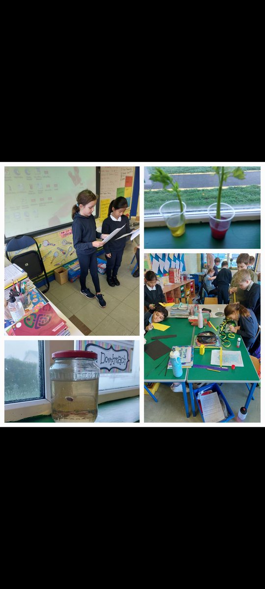 St. Canice's tweet media