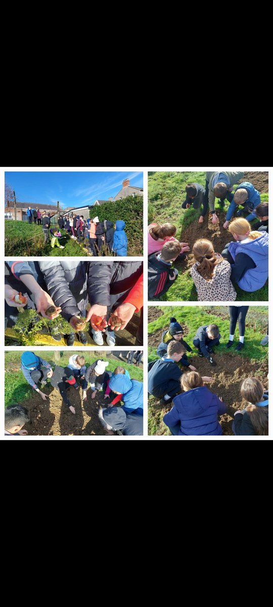 St. Canice's tweet media