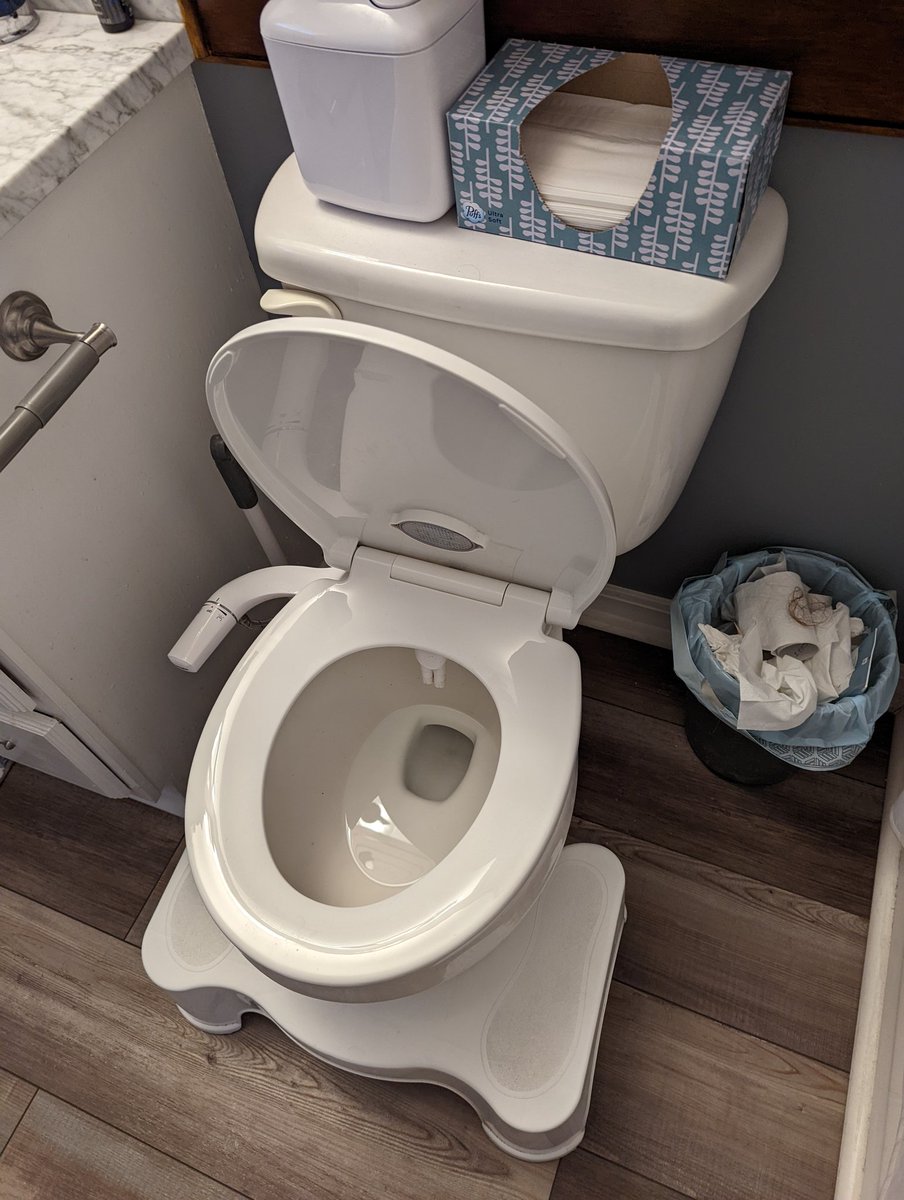 doctorjohn666's tweet photo. Putting my toilet at half-mast today in respect of me being constipated https://t.co/jYiGxFBM49