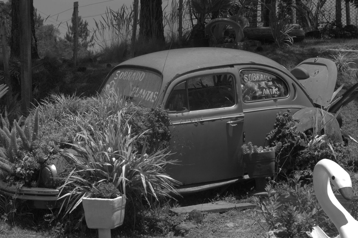 inactionart's tweet photo. Ways of the FlowerCulture.
#photography #collective #inaction
#web3 #nft #digitalart #deambulation https://t.co/RtAkDlBgFb