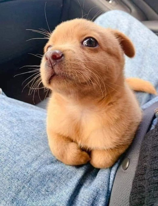 Cutie!
