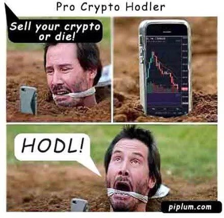 MrssCrypto's tweet photo. I bet the most of the advices look like this: #hodl and wait, don’t to anything, price will change.
Hilarious.

#Bitcoin $XRP $LUNC
#LUNCCcommunity https://t.co/YFkGmvEn6O