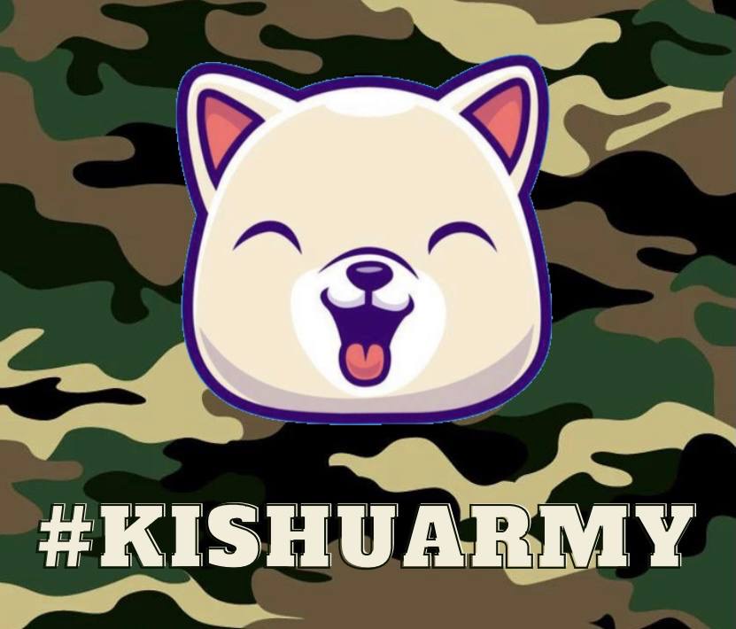 Kishu Inu tweet media