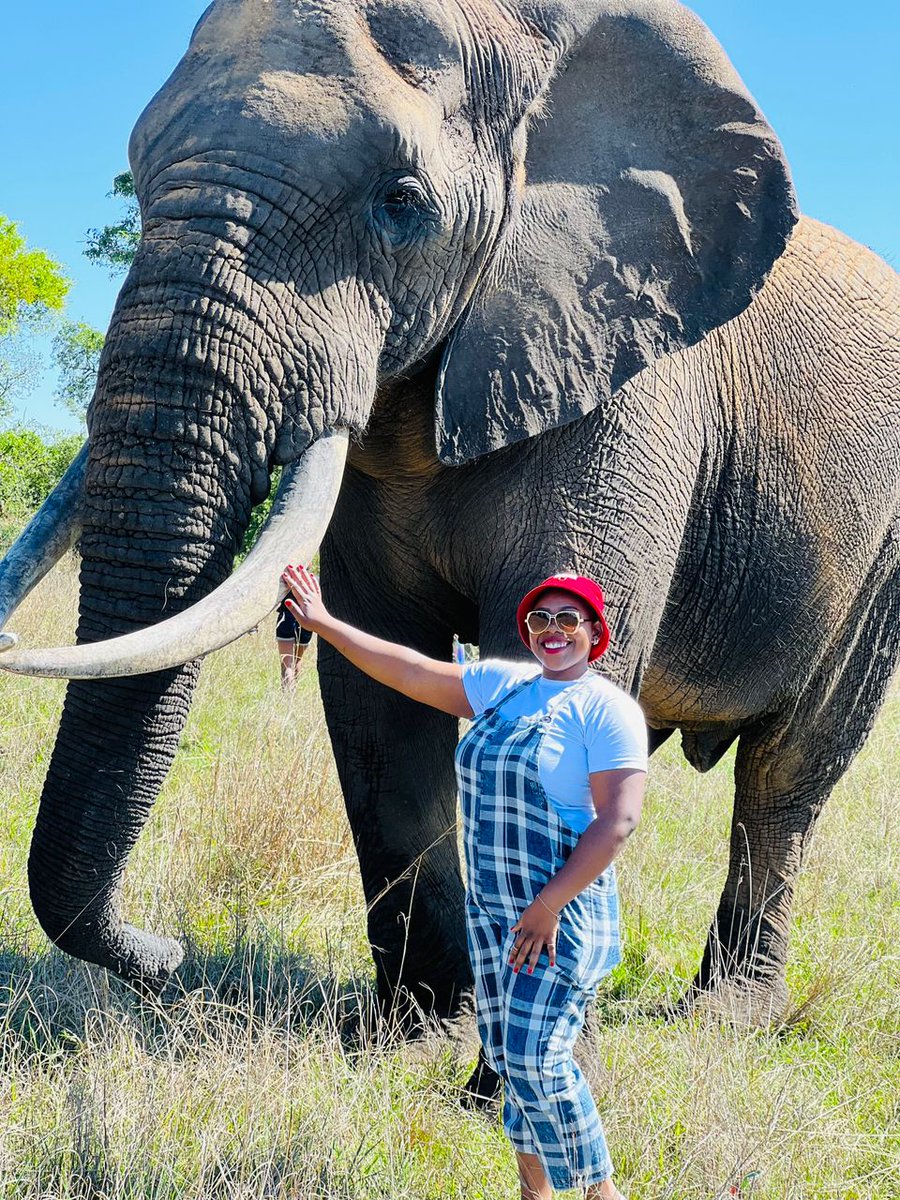 tabbytabz3's tweet photo. Thank you @pamushana_ yesterday was an amazing day. https://t.co/53SnKeWGYc