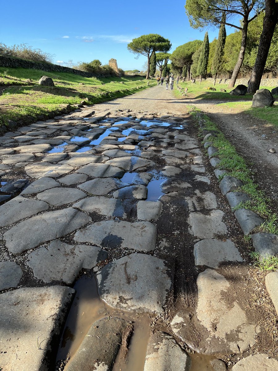 Nicoletta Luppi tweet media