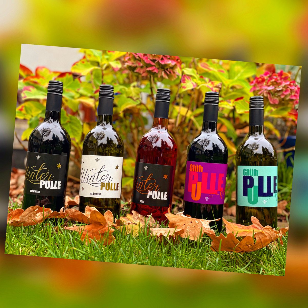 Die Glühweine sind los. 

Ab sofort verfügbar in Rot, Weiß, Rosé, Rot alkoholfrei und Weiß alkoholfrei. 
Für jeden also etwas dabei. Alle 5 sind vom Weingut @andresamlilienthal .
Schaut einfach mal bei uns vorbei. 

@andresamlilienthal #traubenmeer #gluehwein #gluehweinzeit