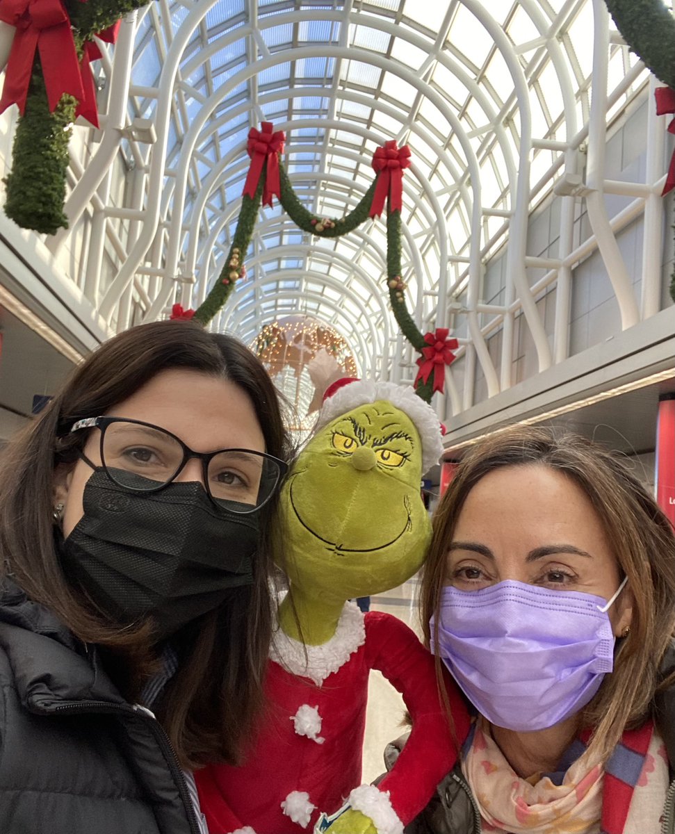 tlabiano's tweet photo. 🎄🎅🏼🐲🛬First stop: Chicago @fly2ohare ! Our green friend is having a lot of fun with us @mdlozanoe IACASCyto #IACongress #ASCyto22 @SEAP_IAP @SECitologia https://t.co/WuHAyew59N