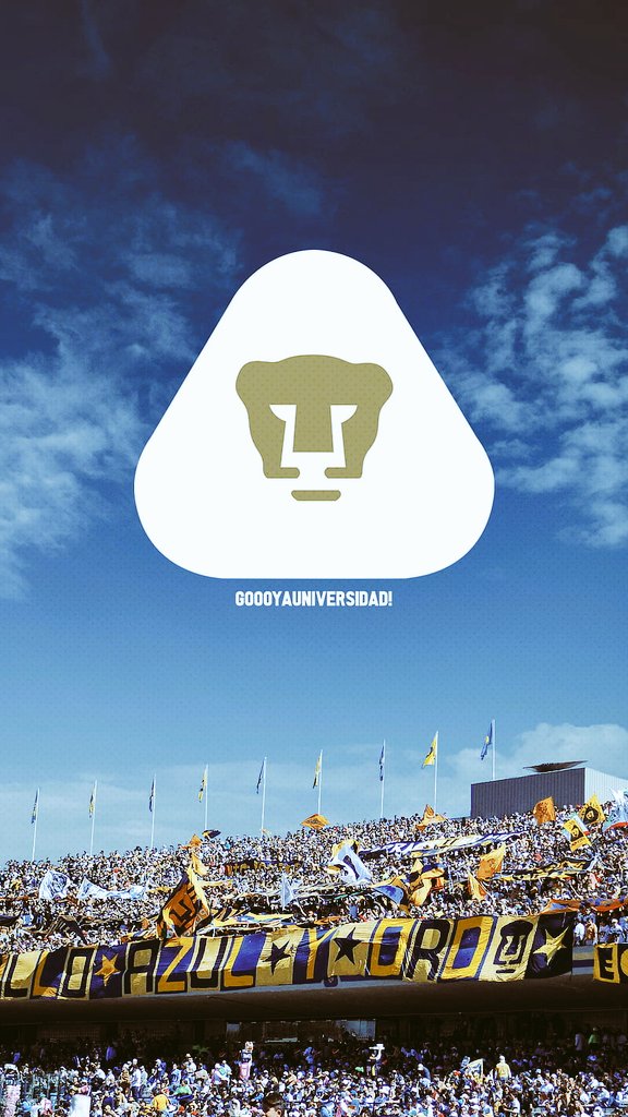 BiGs PUMAS tweet media