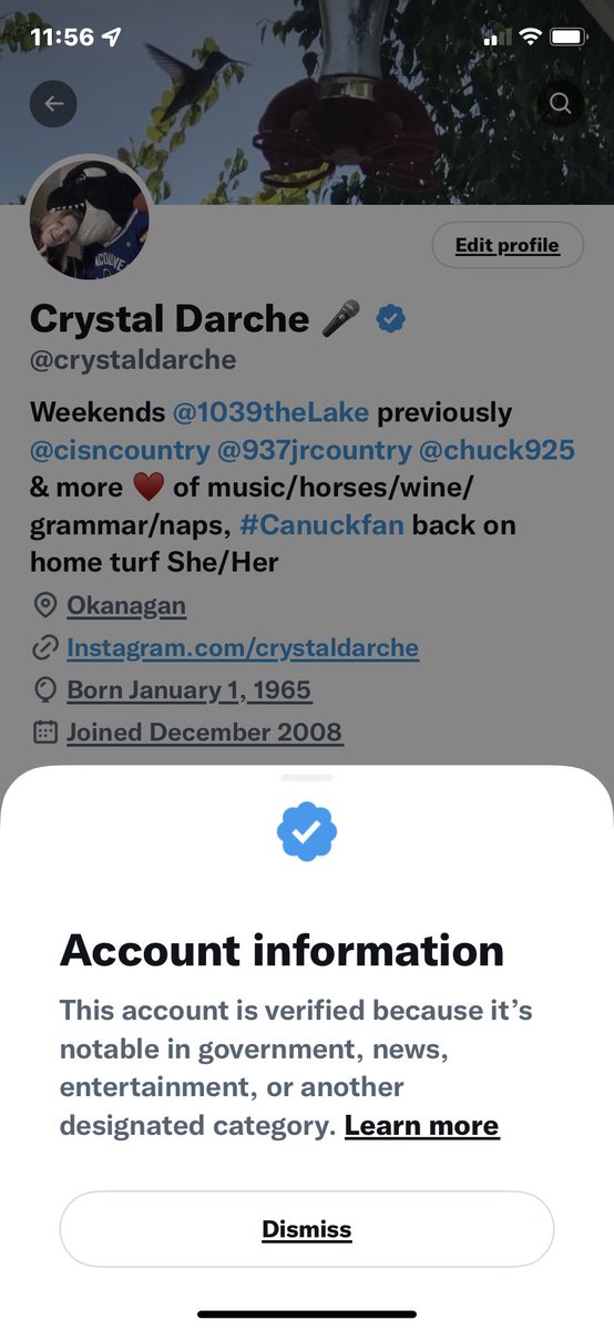 Crystal Darche 🎤 tweet media