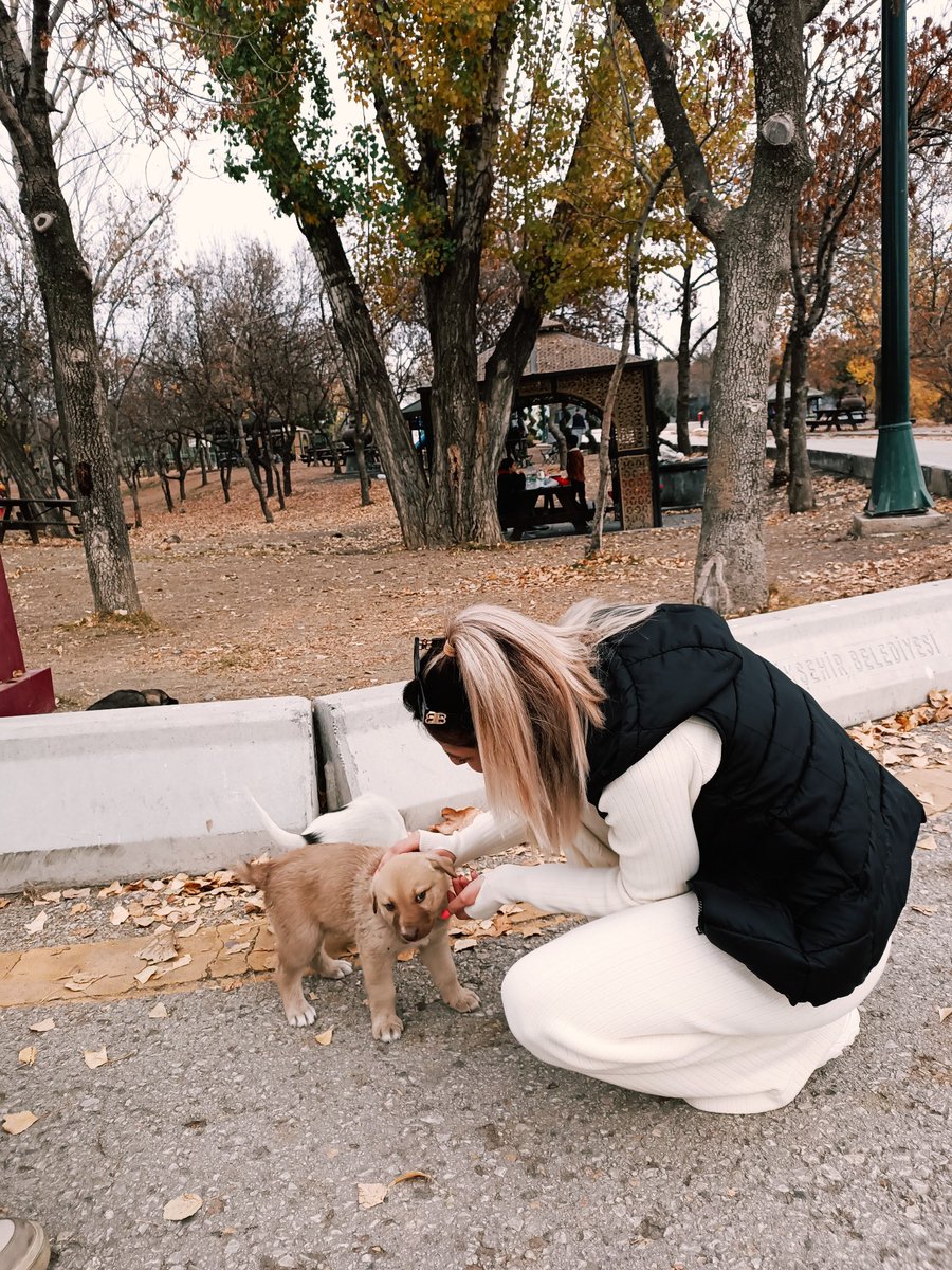 Sevginizi sadece hayvanlara verin , insanlar kıymetini bilmiyor 🐕